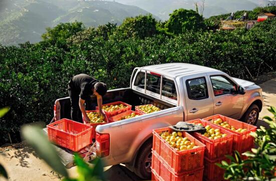 侠之大者 为国为民 长城皮卡就是这样的民族品牌