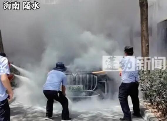 “大干快干”话音未落，岚图又陷起火风波？