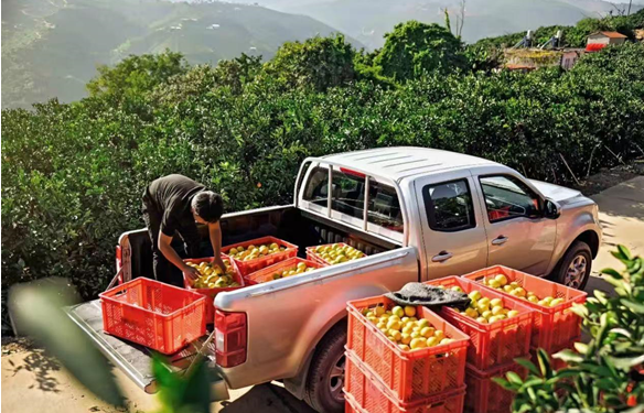 “开不坏”的品质：从一辆老风骏的回家路，看风骏20年的价值沉淀