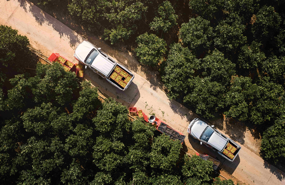 “开不坏”的品质：从一辆老风骏的回家路，看风骏20年的价值沉淀