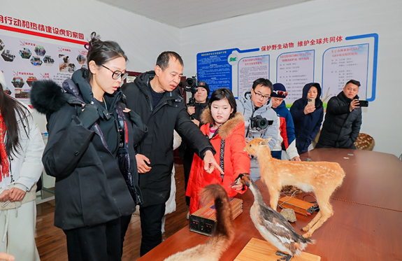 长城皮卡1-2月全球累计销售27361辆 三十周年诚意献礼用户