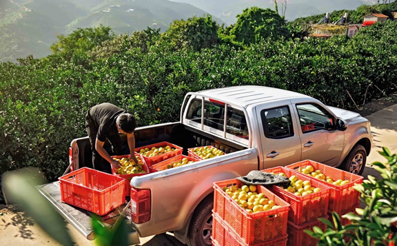九年驰行近百万公里无大修 一辆风骏扛起一家人的生计